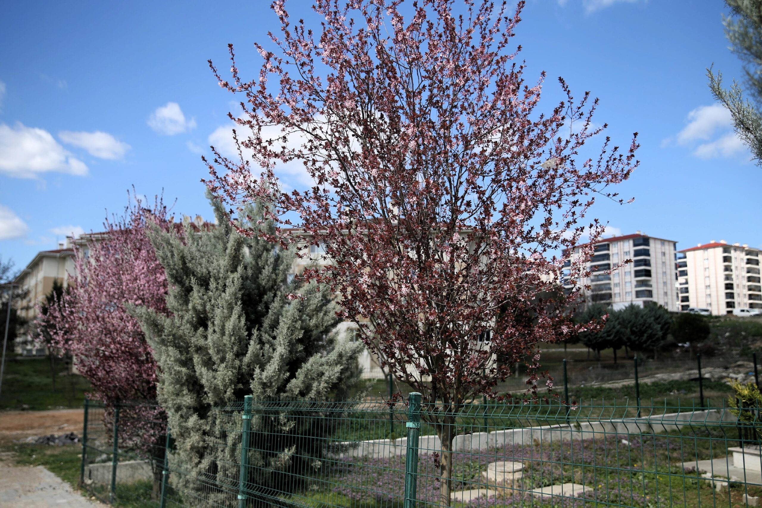 Edirne’de “ani hava değişimi” zirai ürünlerin gelişimini durdurdu haberi