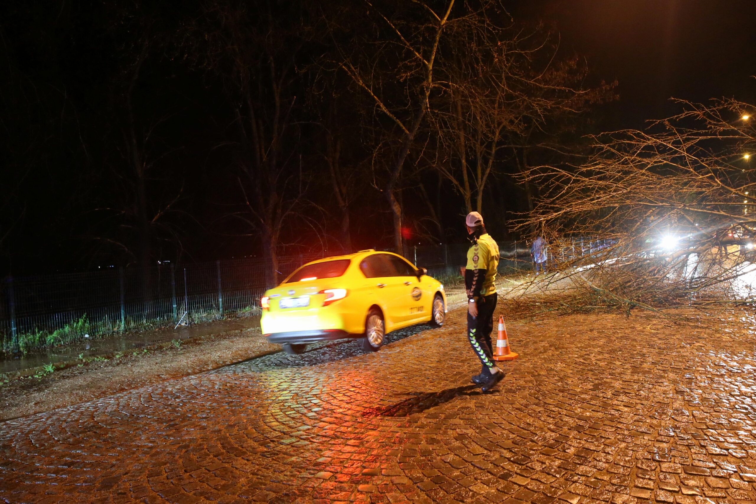 Edirne’de sağanak ağaç devrilmesine ve trafikte aksamalara neden oldu haberi