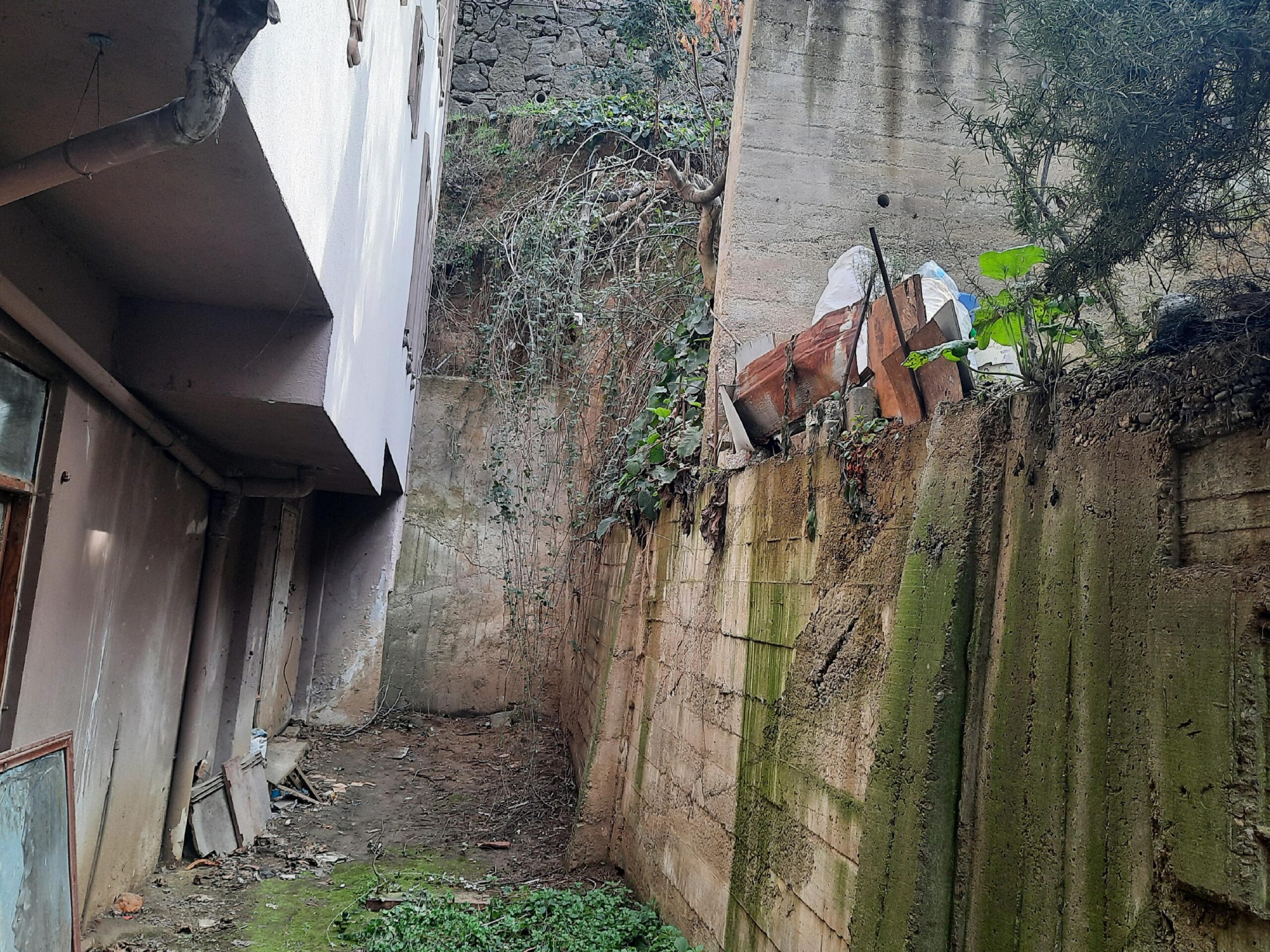 Kocaeli’de budadığı ağaçtan düşen kişi yaralandı haberi