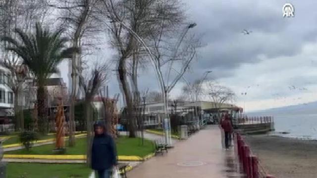 Marmara Depremi’nde Gölcük’te su altında kalan çınar ağaçları görüntülendi haberi