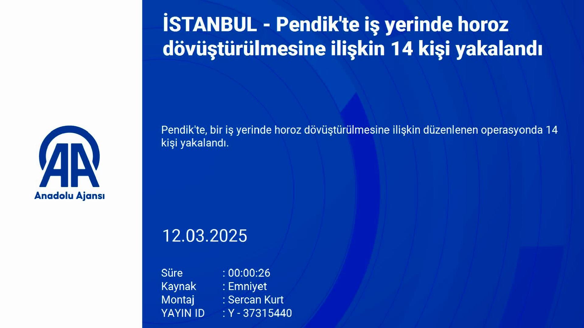 Pendik’te iş yerinde horoz dövüştürülmesine ilişkin 14 kişi yakalandı haberi