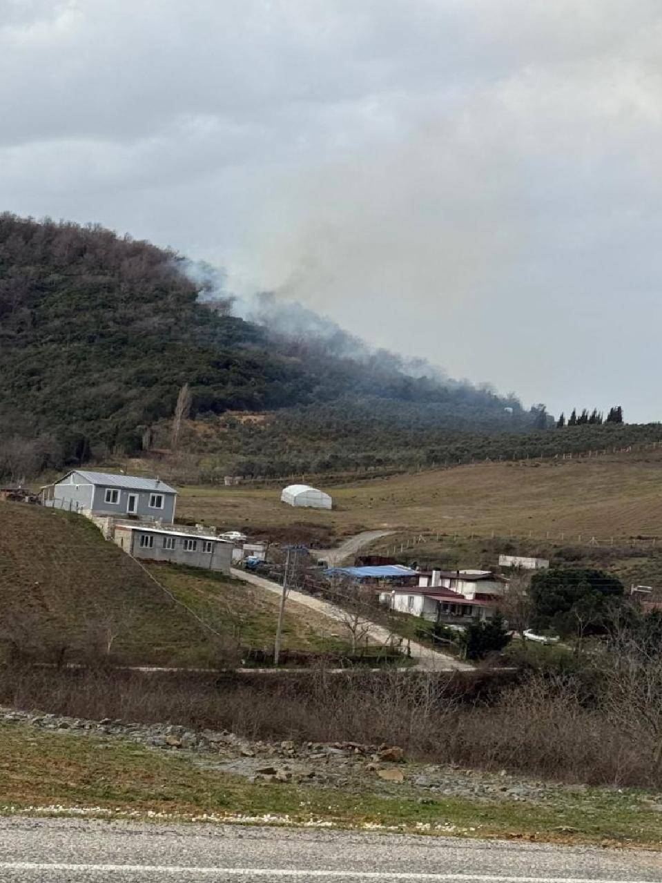 Yalova’da ormanlık alanda çıkan yangına müdahale ediliyor haberi